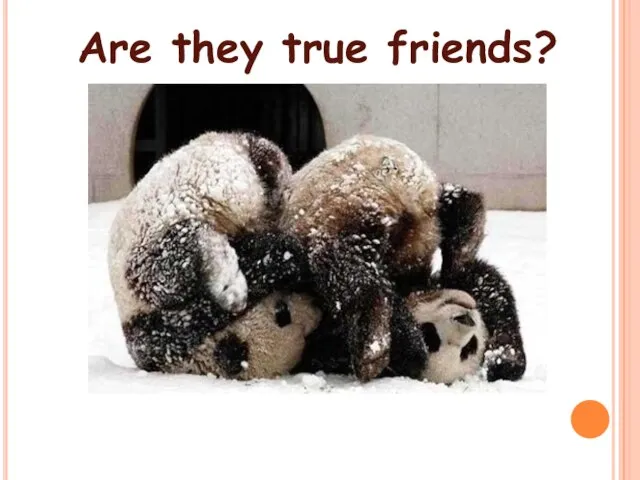 Are they true friends?