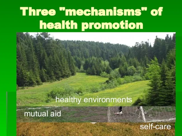 Three "mechanisms" of health promotion self-care mutual aid healthy environments