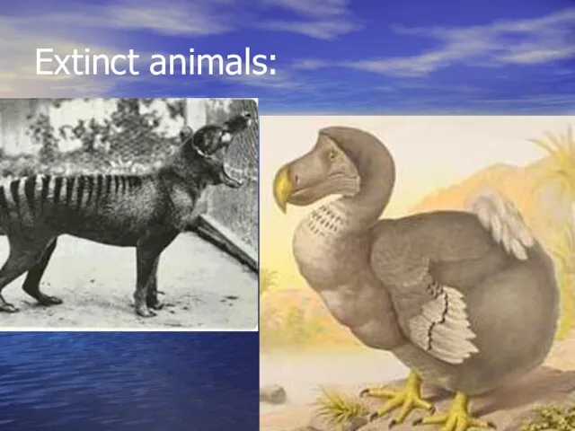 Extinct animals:
