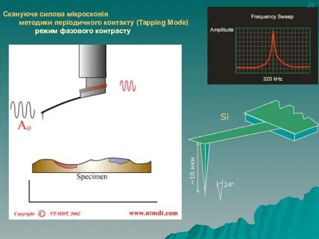 Скануюча силова мікроскопія методики періодичного контакту (Tapping Mode) режим фазового контрасту Si ~10 мкм 26