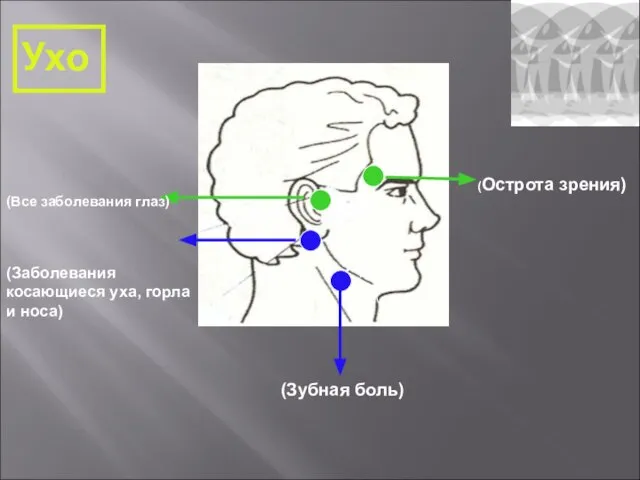 (Все заболевания глаз) (Заболевания косающиеся уха, горла и носа) 2구 2구 (Зубная боль) (Острота зрения) Ухо