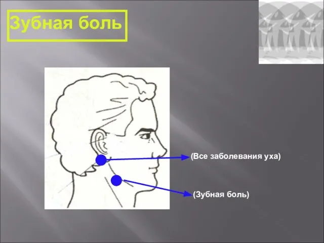 2구 (Зубная боль) Зубная боль (Все заболевания уха)