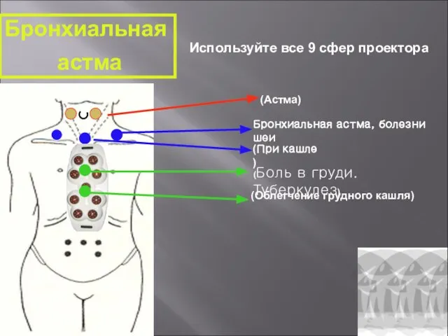 (Астма) (При кашле ) Бронхиальная астма, болезни шеи (Боль в груди. Туберкулез)