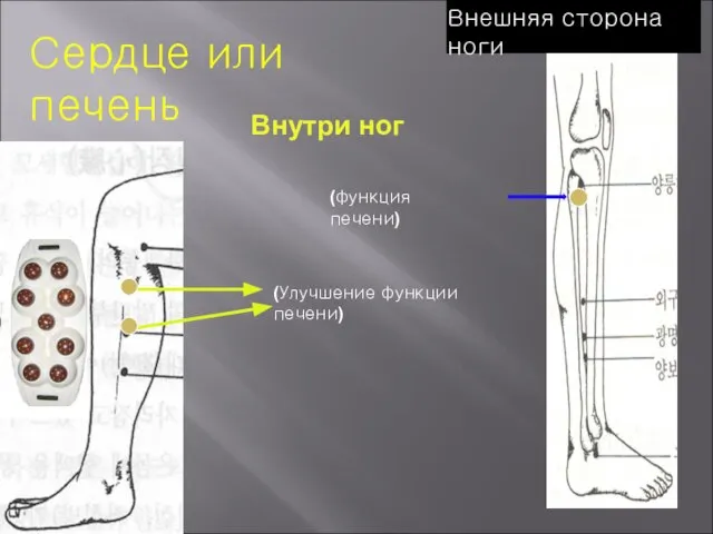 Сердце или печень (Улучшение функции печени) (функция печени) Внутри ног Внешняя сторона ноги