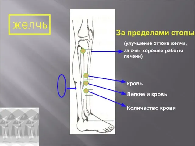 желчь За пределами стопы (улучшение оттока желчи, за счет хорошей работы печени)