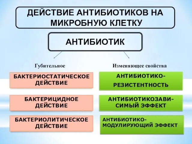 ДЕЙСТВИЕ АНТИБИОТИКОВ НА МИКРОБНУЮ КЛЕТКУ АНТИБИОТИК БАКТЕРИОСТАТИЧЕСКОЕ ДЕЙСТВИЕ БАКТЕРИОЛИТИЧЕСКОЕ ДЕЙСТВИЕ БАКТЕРИЦИДНОЕ ДЕЙСТВИЕ