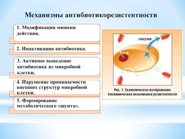 Механизмы антибиотикорезистентности