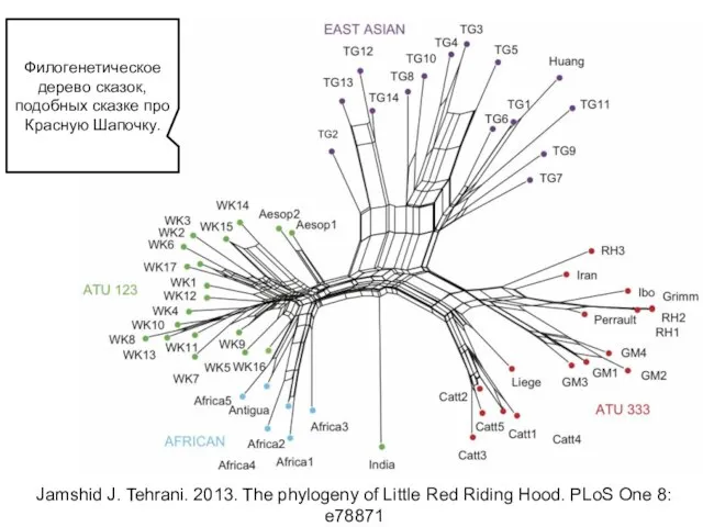 Jamshid J. Tehrani. 2013. The phylogeny of Little Red Riding Hood. PLoS