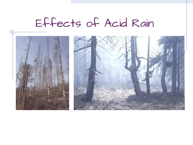 Effects of Acid Rain