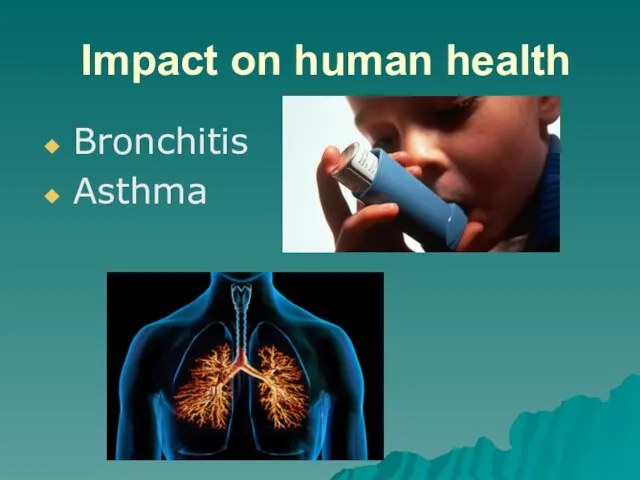Impact on human health Bronchitis Asthma