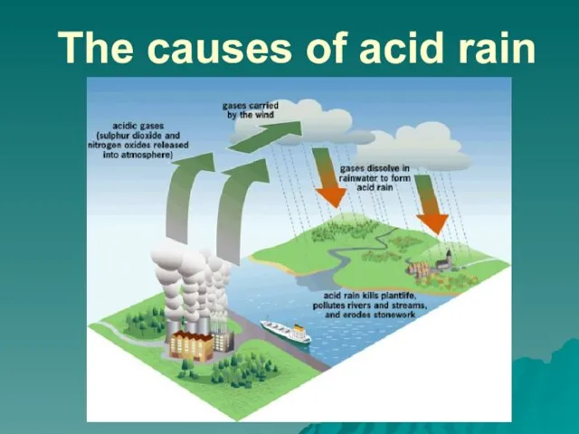 The causes of acid rain