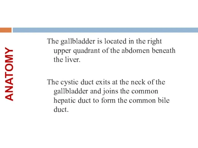 ANATOMY The gallbladder is located in the right upper quadrant of the