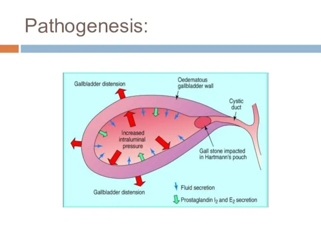 Pathogenesis: