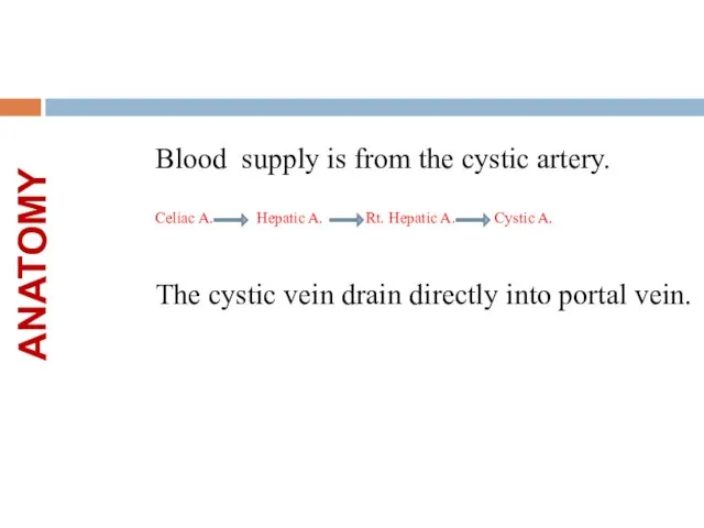 ANATOMY Blood supply is from the cystic artery. Celiac A. Hepatic A.