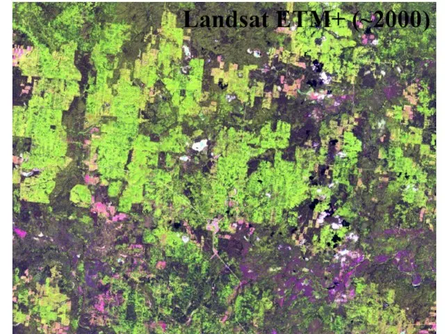 Landsat ETM+ (~2000)