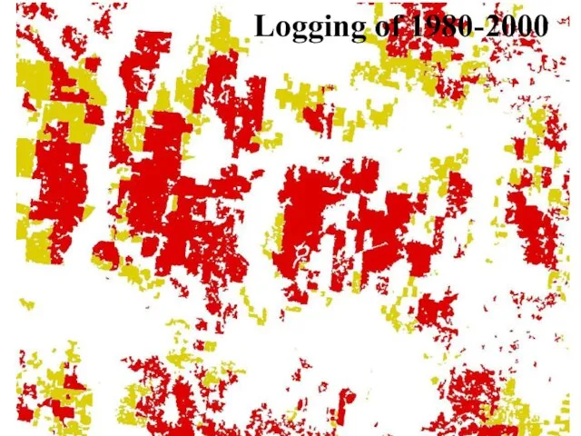 Logging of 1980-2000