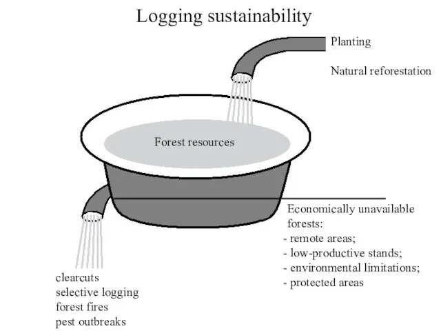 Logging sustainability Planting Natural reforestation clearcuts selective logging forest fires pest outbreaks