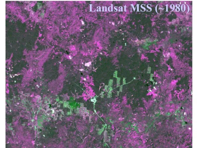 Landsat MSS (~1980)