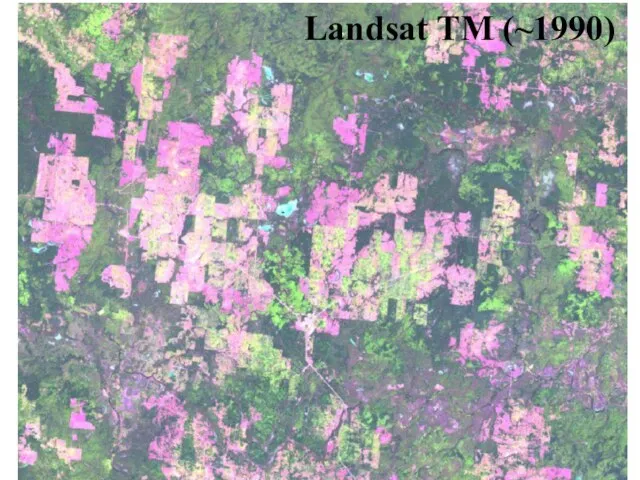Landsat TM (~1990)