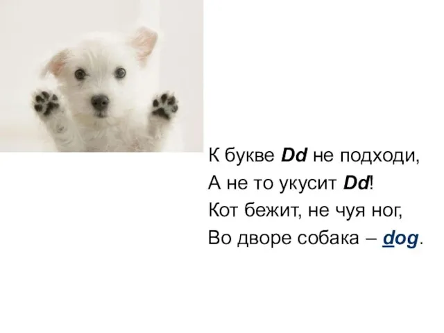 К букве Dd не подходи, А не то укусит Dd! Кот бежит,