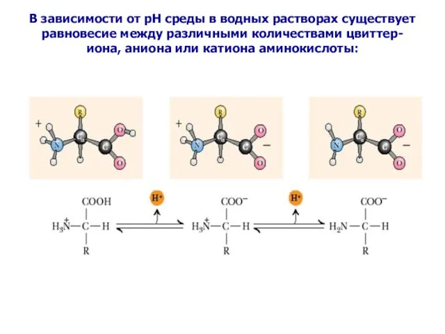 В зависимости от рН среды в водных растворах существует равновесие между различными