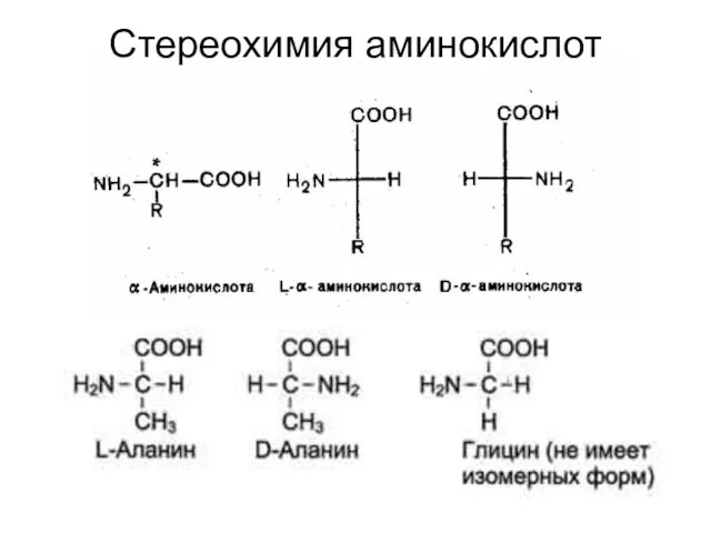 Стереохимия аминокислот