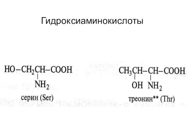 Гидроксиаминокислоты