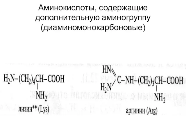 Аминокислоты, содержащие дополнительную аминогруппу (диаминомонокарбоновые)