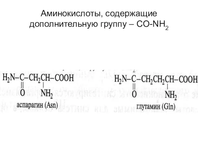 Аминокислоты, содержащие дополнительную группу – CO-NH2