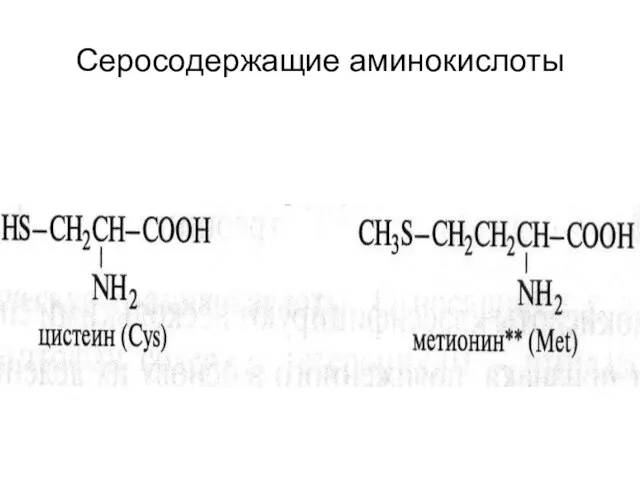 Серосодержащие аминокислоты