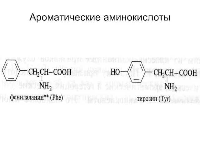 Ароматические аминокислоты