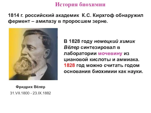 История биохимии В 1828 году немецкий химик Вёлер синтезировал в лаборатории мочевину