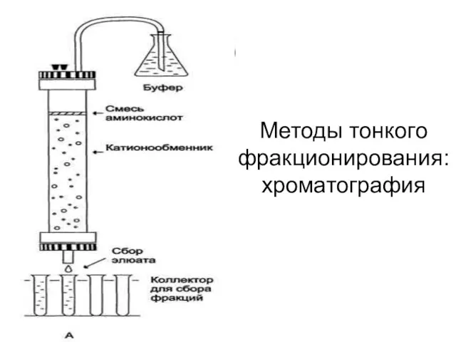 Методы тонкого фракционирования: хроматография