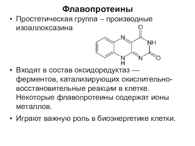 Флавопротеины Простетическая группа – производные изоаллоксазина Входят в состав оксидоредуктаз — ферментов,