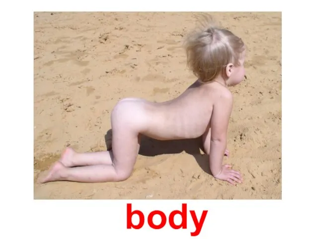 body