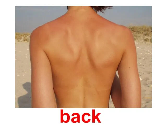 back