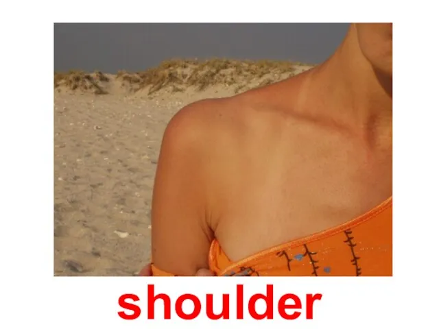 shoulder