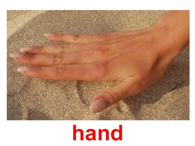 hand