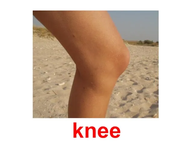 knee