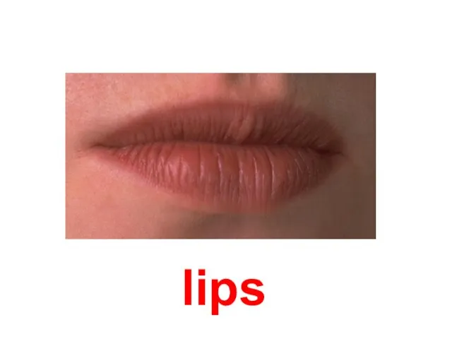 lips