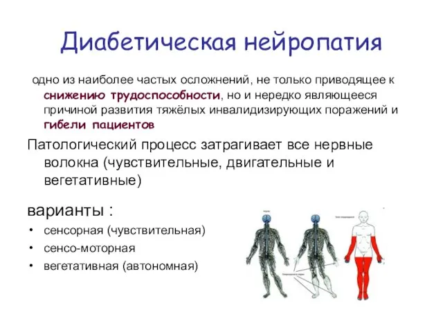 Диабетическая нейропатия одно из наиболее частых осложнений, не только приводящее к снижению