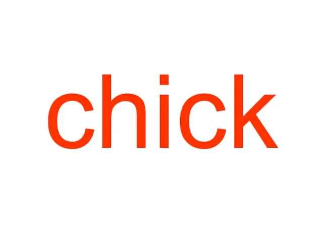 chick