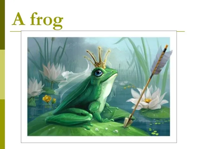 A frog