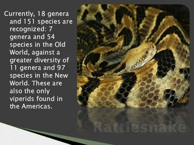 Currently, 18 genera and 151 species are recognized: 7 genera and 54