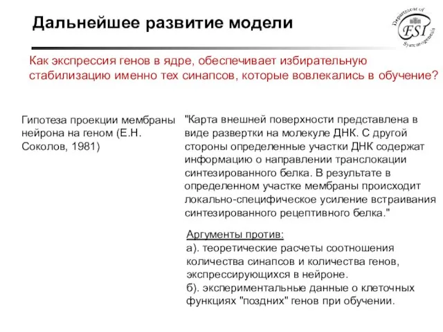 Как экспрессия генов в ядре, обеспечивает избирательную стабилизацию именно тех синапсов, которые