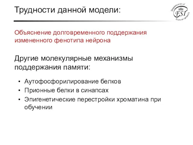 Объяснение долговременного поддержания измененного фенотипа нейрона Другие молекулярные механизмы поддержания памяти: Аутофосфорилирование