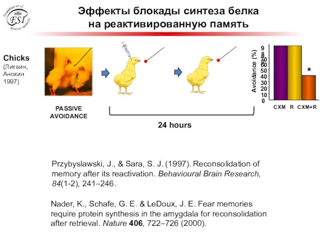 Chicks (Литвин, Анохин 1997) PASSIVE AVOIDANCE * Avoidance (%) CXM R CXM+R