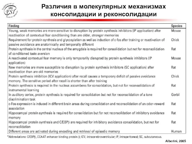 Различия в молекулярных механизмах консолидации и реконсолидации Alberini, 2005