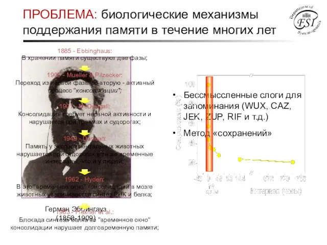 ПРОБЛЕМА: биологические механизмы поддержания памяти в течение многих лет Бессмыссленные слоги для