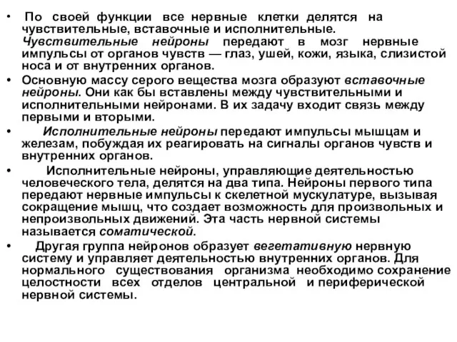 По своей функции все нервные клетки делятся на чувствительные, вставочные и исполнительные.